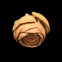 Rananculus
