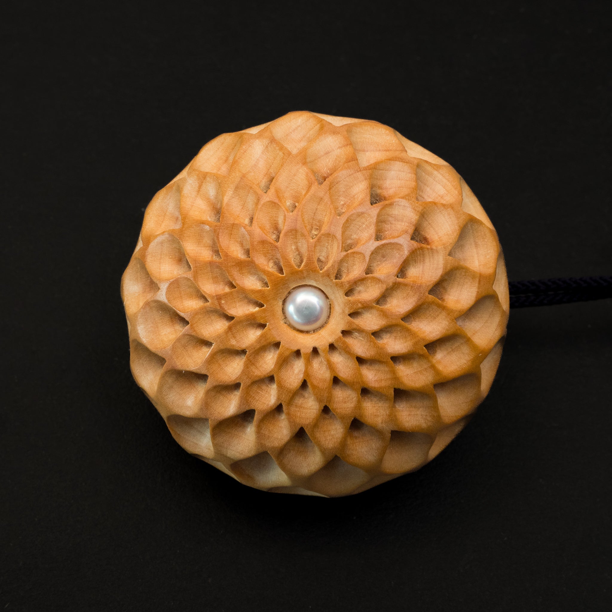 菊