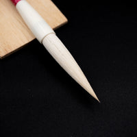 Red Calligraphy Brush Set