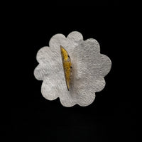 White nights (Ring)