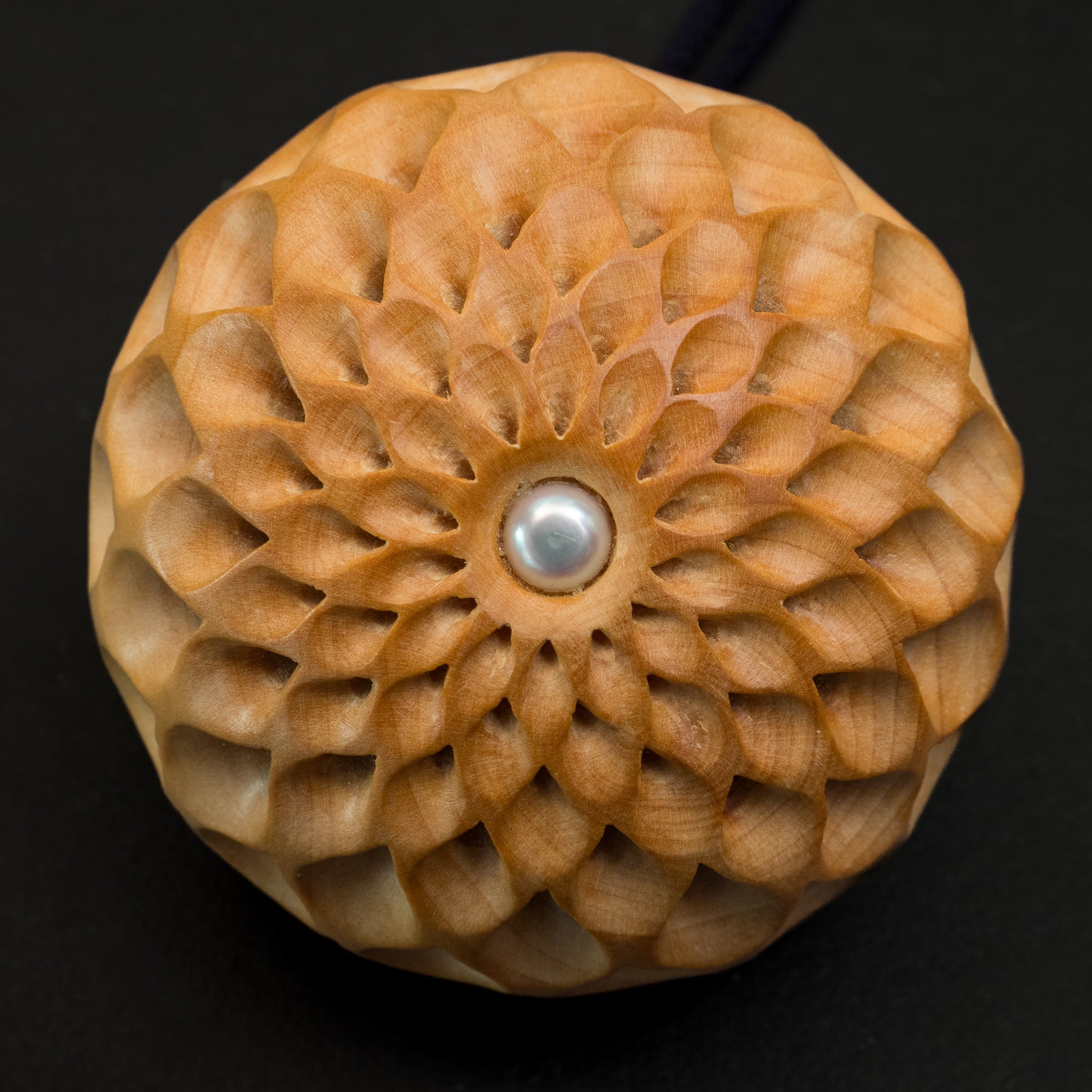 菊