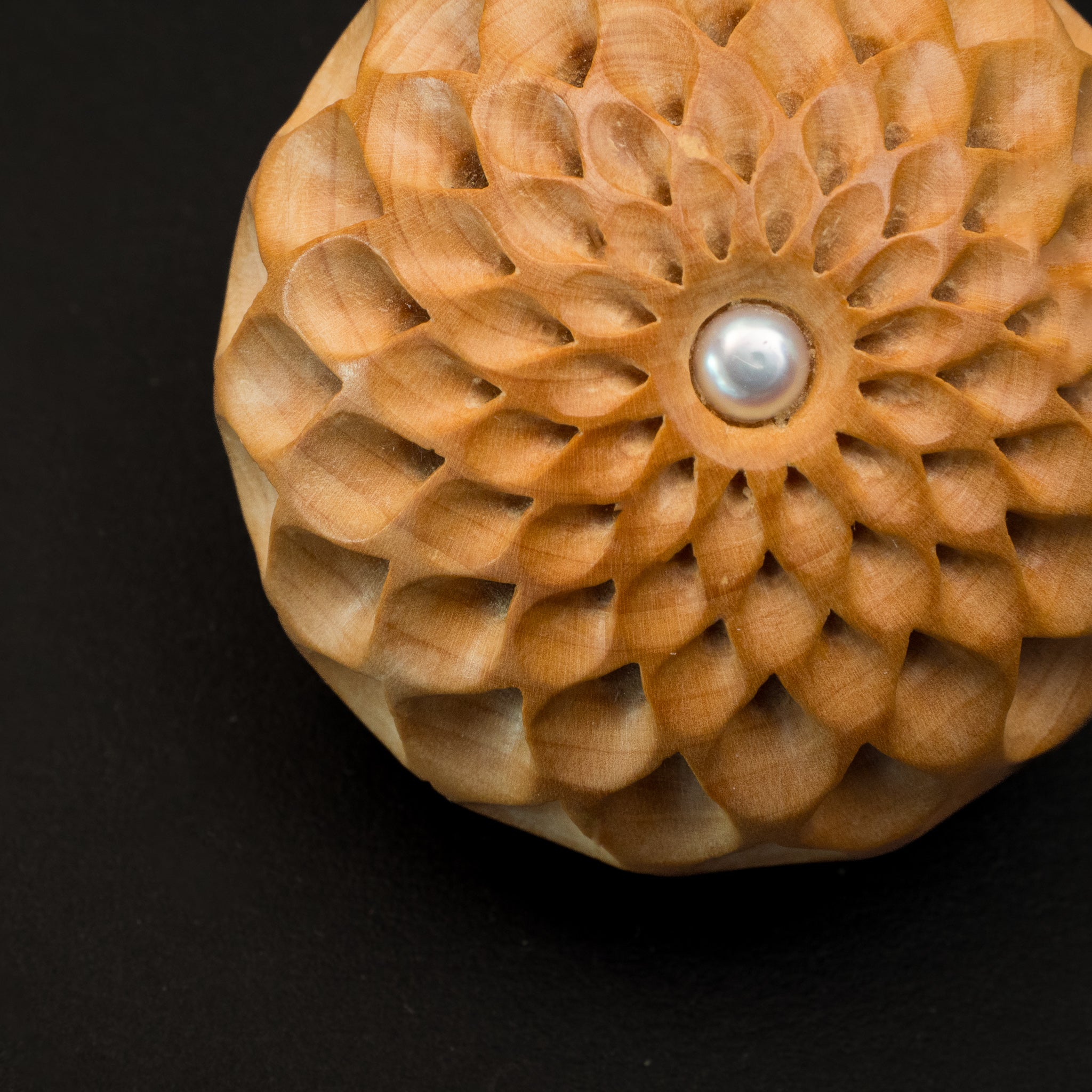 菊